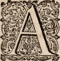 An illustration from Adriani Spigelii Bruxellensis (1645)