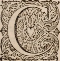 Picture 22 of 293 from Adriani Spigelii Bruxellensis (1645), leaf 58