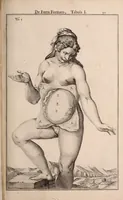 Picture 250 of 293 from Adriani Spigelii Bruxellensis (1645), leaf 580