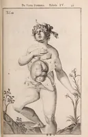 Picture 252 of 293 from Adriani Spigelii Bruxellensis (1645), leaf 584