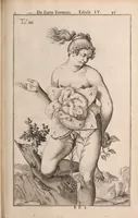 Picture 253 of 293 from Adriani Spigelii Bruxellensis (1645), leaf 586