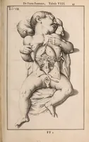 Picture 257 of 293 from Adriani Spigelii Bruxellensis (1645), leaf 594