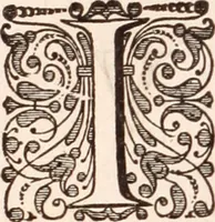 Picture 260 of 293 from Adriani Spigelii Bruxellensis (1645), leaf 603