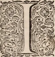 Picture 261 of 293 from Adriani Spigelii Bruxellensis (1645), leaf 604