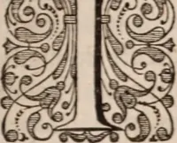 Picture 25 of 293 from Adriani Spigelii Bruxellensis (1645), leaf 64