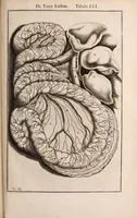 Picture 265 of 293 from Adriani Spigelii Bruxellensis (1645), leaf 644