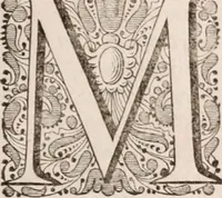 An illustration from Adriani Spigelii Bruxellensis (1645)