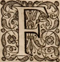Picture 28 of 293 from Adriani Spigelii Bruxellensis (1645), leaf 66