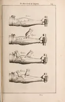 Picture 271 of 293 from Adriani Spigelii Bruxellensis (1645), leaf 668