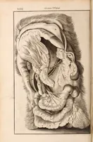 Picture 273 of 293 from Adriani Spigelii Bruxellensis (1645), leaf 685