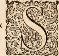 An illustration from Adriani Spigelii Bruxellensis (1645)