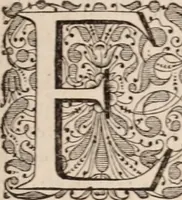 Picture 277 of 293 from Adriani Spigelii Bruxellensis (1645), leaf 712