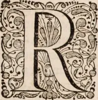 Picture 282 of 293 from Adriani Spigelii Bruxellensis (1645), leaf 770