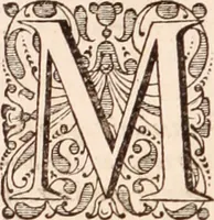 Picture 283 of 293 from Adriani Spigelii Bruxellensis (1645), leaf 771