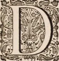 Picture 284 of 293 from Adriani Spigelii Bruxellensis (1645), leaf 778