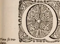 Picture 285 of 293 from Adriani Spigelii Bruxellensis (1645), leaf 798