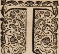 Picture 36 of 293 from Adriani Spigelii Bruxellensis (1645), leaf 80