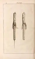 Picture 287 of 293 from Adriani Spigelii Bruxellensis (1645), leaf 805
