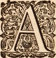 Picture 37 of 293 from Adriani Spigelii Bruxellensis (1645), leaf 81