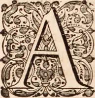 Picture 38 of 293 from Adriani Spigelii Bruxellensis (1645), leaf 85