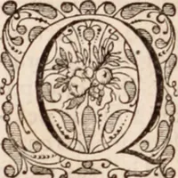 Picture 292 of 293 from Adriani Spigelii Bruxellensis (1645), leaf 863