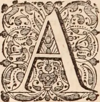 Picture 293 of 293 from Adriani Spigelii Bruxellensis (1645), leaf 869