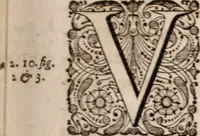 Picture 39 of 293 from Adriani Spigelii Bruxellensis (1645), leaf 88