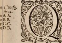 Picture 40 of 293 from Adriani Spigelii Bruxellensis (1645), leaf 90