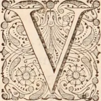 An illustration from Adriani Spigelii Bruxellensis (1645)