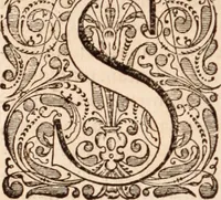 Picture 43 of 293 from Adriani Spigelii Bruxellensis (1645), leaf 95