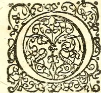 An illustration from Adriani Spigelii ... De humani corporis fabrica libri decem, tabulis XCIIX aeri incisis elegantissimis, nec antehac visis exornati. Serenissimo Ioanni Cornelio Venetiarum duci dicati : opus posthumum : Daniel Bucretius Vratislaviensis Philos. & Medic. D (1632)