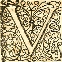 Picture 19 of 141 from Adriani Spigelii ... De humani corporis fabrica libri decem, tabulis XCIIX aeri incisis elegantissimis, nec antehac visis exornati. Serenissimo Ioanni Cornelio Venetiarum duci dicati : opus posthumum : Daniel Bucretius Vratislaviensis Philos. & Medic. D (1632), leaf 236