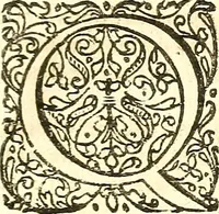 Picture 24 of 141 from Adriani Spigelii ... De humani corporis fabrica libri decem, tabulis XCIIX aeri incisis elegantissimis, nec antehac visis exornati. Serenissimo Ioanni Cornelio Venetiarum duci dicati : opus posthumum : Daniel Bucretius Vratislaviensis Philos. & Medic. D (1632), leaf 358