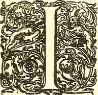 An illustration from Adriani Spigelii ... De humani corporis fabrica libri decem, tabulis XCIIX aeri incisis elegantissimis, nec antehac visis exornati. Serenissimo Ioanni Cornelio Venetiarum duci dicati : opus posthumum : Daniel Bucretius Vratislaviensis Philos. & Medic. D (1632)