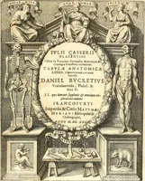 Picture 27 of 141 from Adriani Spigelii ... De humani corporis fabrica libri decem, tabulis XCIIX aeri incisis elegantissimis, nec antehac visis exornati. Serenissimo Ioanni Cornelio Venetiarum duci dicati : opus posthumum : Daniel Bucretius Vratislaviensis Philos. & Medic. D (1632), leaf 430