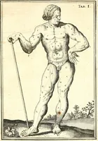 Picture 29 of 141 from Adriani Spigelii ... De humani corporis fabrica libri decem, tabulis XCIIX aeri incisis elegantissimis, nec antehac visis exornati. Serenissimo Ioanni Cornelio Venetiarum duci dicati : opus posthumum : Daniel Bucretius Vratislaviensis Philos. & Medic. D (1632), leaf 436