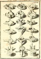 Picture 45 of 141 from Adriani Spigelii ... De humani corporis fabrica libri decem, tabulis XCIIX aeri incisis elegantissimis, nec antehac visis exornati. Serenissimo Ioanni Cornelio Venetiarum duci dicati : opus posthumum : Daniel Bucretius Vratislaviensis Philos. & Medic. D (1632), leaf 462