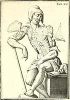 Picture 66 of 141 from Adriani Spigelii ... De humani corporis fabrica libri decem, tabulis XCIIX aeri incisis elegantissimis, nec antehac visis exornati. Serenissimo Ioanni Cornelio Venetiarum duci dicati : opus posthumum : Daniel Bucretius Vratislaviensis Philos. & Medic. D (1632), leaf 504