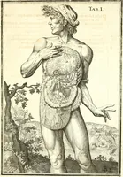 Picture 95 of 141 from Adriani Spigelii ... De humani corporis fabrica libri decem, tabulis XCIIX aeri incisis elegantissimis, nec antehac visis exornati. Serenissimo Ioanni Cornelio Venetiarum duci dicati : opus posthumum : Daniel Bucretius Vratislaviensis Philos. & Medic. D (1632), leaf 562