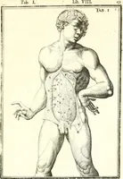 Picture 103 of 141 from Adriani Spigelii ... De humani corporis fabrica libri decem, tabulis XCIIX aeri incisis elegantissimis, nec antehac visis exornati. Serenissimo Ioanni Cornelio Venetiarum duci dicati : opus posthumum : Daniel Bucretius Vratislaviensis Philos. & Medic. D (1632), leaf 580
