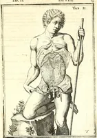 Picture 104 of 141 from Adriani Spigelii ... De humani corporis fabrica libri decem, tabulis XCIIX aeri incisis elegantissimis, nec antehac visis exornati. Serenissimo Ioanni Cornelio Venetiarum duci dicati : opus posthumum : Daniel Bucretius Vratislaviensis Philos. & Medic. D (1632), leaf 582