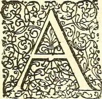 Picture 6 of 141 from Adriani Spigelii ... De humani corporis fabrica libri decem, tabulis XCIIX aeri incisis elegantissimis, nec antehac visis exornati. Serenissimo Ioanni Cornelio Venetiarum duci dicati : opus posthumum : Daniel Bucretius Vratislaviensis Philos. & Medic. D (1632), leaf 6