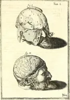 An illustration from Adriani Spigelii ... De humani corporis fabrica libri decem, tabulis XCIIX aeri incisis elegantissimis, nec antehac visis exornati. Serenissimo Ioanni Cornelio Venetiarum duci dicati : opus posthumum : Daniel Bucretius Vratislaviensis Philos. & Medic. D (1632)