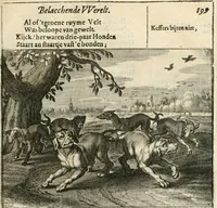 Picture 10 of 15 from Adr. vande Vennes Tafereel van de belacchende werelt : en des selfs geluckige eeuwe, goet rondt, met by-gevoegde raedsel-spreucken, aengevvesen in de boer-achtige eenvoudigheyt, op de haegsche kermis : verciert met konst-rijcke af-beeldingen (1635), leaf 222