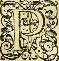 An illustration from Ad tractationem de ministrorum evangelii gradibus (1593)