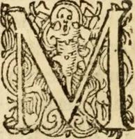 An illustration from Ad tractationem de ministrorum evangelii gradibus (1593)