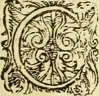 An illustration from Ad tractationem de ministrorum evangelii gradibus (1593)