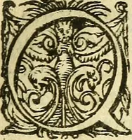 An illustration from Ad tractationem de ministrorum evangelii gradibus (1593)
