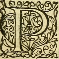 An illustration from Ad tractationem de ministrorum evangelii gradibus (1593)