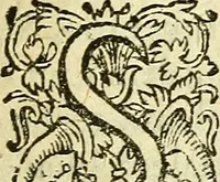 An illustration from Ad tractationem de ministrorum evangelii gradibus (1593)